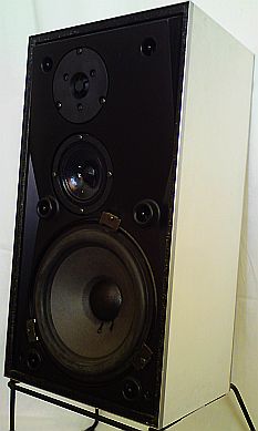 B&O Beovox S45-2
