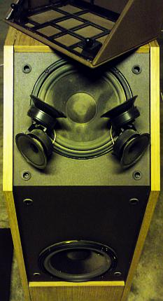 Bose 601 - III nue