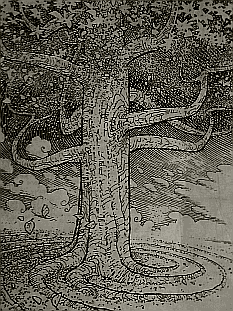 croquis préparatoire ENT